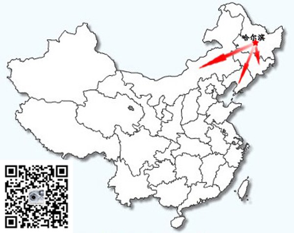 黑龙江贝尔国际贸易有限公司