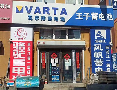 哈尔滨王子风帆骆驼瓦尔塔理士品牌电瓶蓄电池批发 -