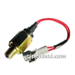 915西北王倒车开关(大盛