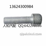 捷达（王）无极变半轴螺丝