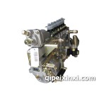 龙口配大柴/锡柴260马力油泵总成