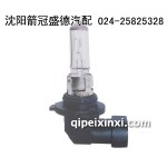 H12汽车氙气灯泡