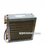 霸王HYN-8400除霜器