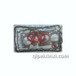 奇瑞瑞虎481大修包