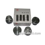 4G22D4活塞带销1004015F