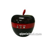 车安行198电子狗