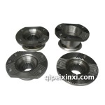 法士特变速箱角齿凸元