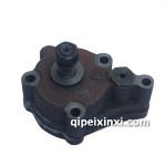 一汽哈轻小解放锡柴490机