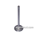 一汽哈轻小解放云内490进气门