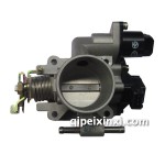 五菱B12（德尔福系统）渝辉节气门阀体