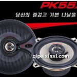 韩国博益55X2喇叭