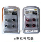 车标气嘴盖