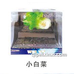 小白菜汽车香水