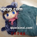 汽车用品抱枕