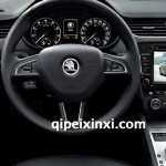 斯柯达明锐 斯柯达明锐