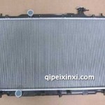 散热器总成 散热器总成