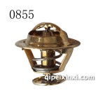 B54A3节温器 B54A3节温器