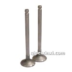 云内490发动机进排气门