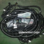 线束3724045Y60CG-A