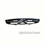 雪铁龙老款爱丽舍中网