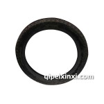 朝阳摩托车胎300-18（