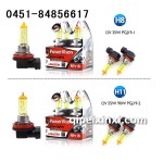 H8H11彩光系列黄金光彩虹光