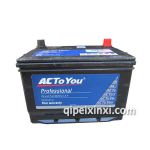 6QW-48电瓶-微型专用 6QW-48电瓶-微型专用