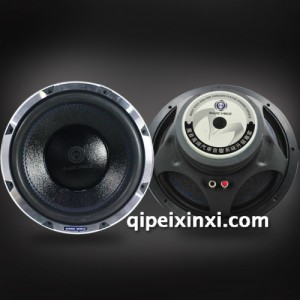 VW-M300C汽车音响 发烧级低音喇叭 低音扬声器 低音炮单元 VW-M300C