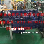 WP10增压器中置发动机总成