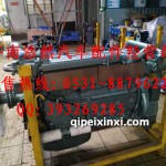 重汽WD615.95E-96E发动机总成