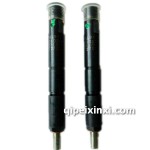 喷油器总成 喷油器总成