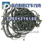 国三系列线束