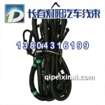 j6后悬挂车线束