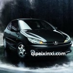 标致206全车配件