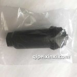 福特6DCT450-MPS6外部滤网
