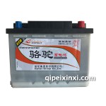 6-QTPE-60(640)骆驼蓄电池