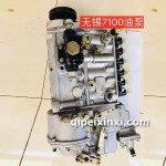 无锡7100油泵