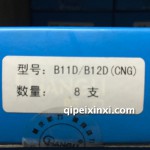 气门B11D-B12D(CNG)