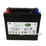 CX23-10C655-AC理士電池