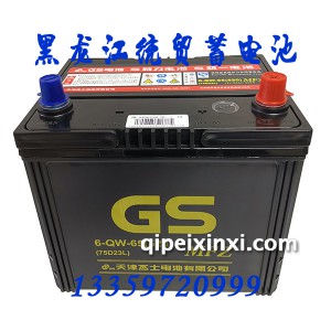 统一电瓶6-QW-65(520)蓄电池