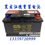蓄电池6-QW-80(65