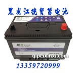 6-QW-80(660)XL免维护蓄电池