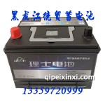 6-QW-50(500)R理士电瓶