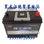 理士汽车电瓶6-QW-60(530)XL