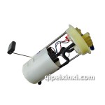 威志威乐汽油泵