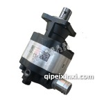 洒水车油泵CBFX-210