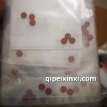 德尔福原厂汽车配件