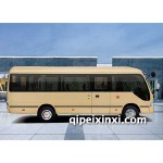 金龙龙悦-XMQ6706A