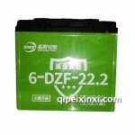 振盟电动车专用6-DZF-22.2电瓶