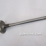 大柴F04284043-排气门